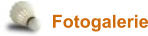Fotogalerie